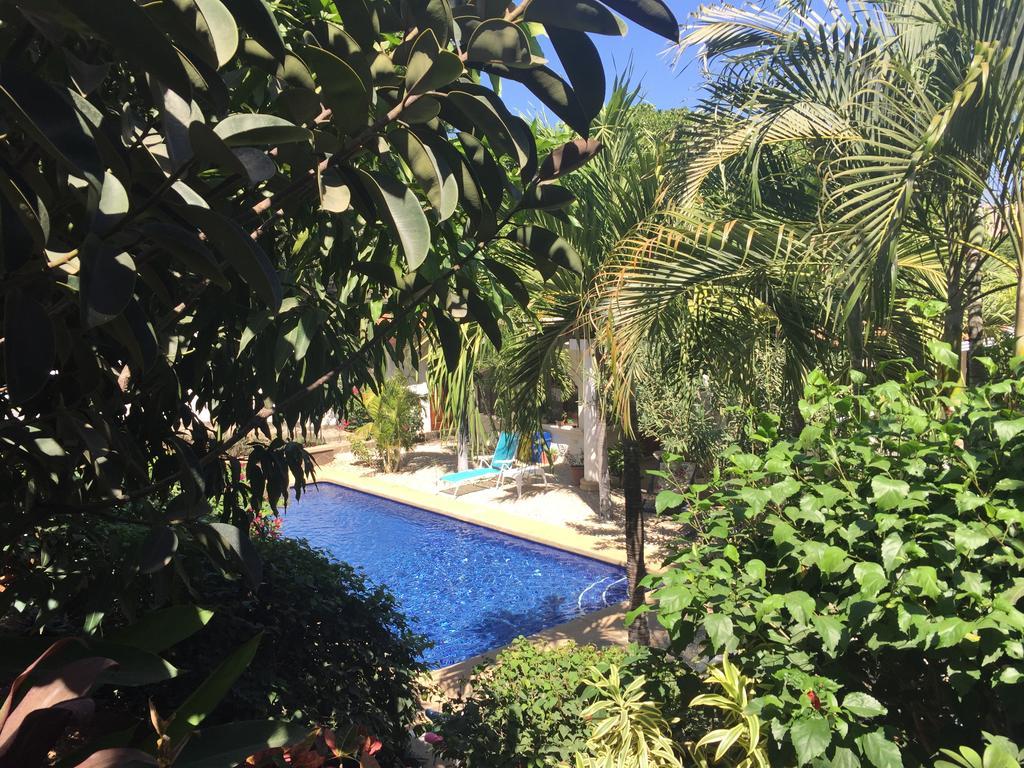 Hotel Flores (Adults Only) タマリンド エクステリア 写真