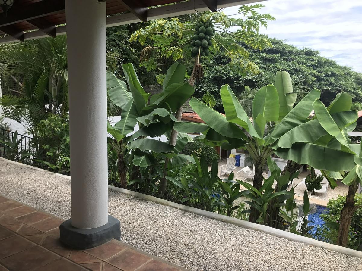 Hotel Flores (Adults Only) タマリンド エクステリア 写真